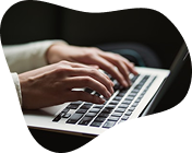 Internship and career placement